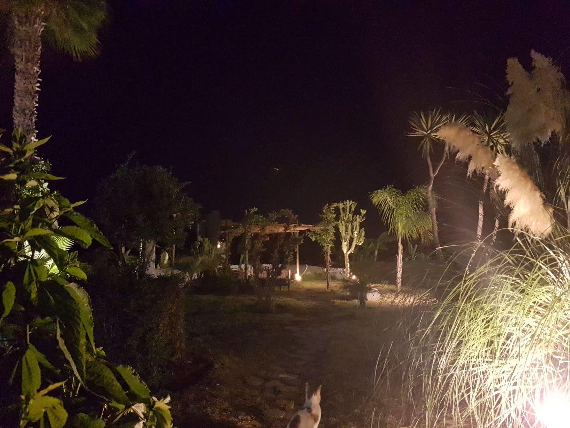 Eftihia Apartments Κως Πόλη Εξωτερικό φωτογραφία